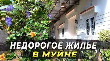 БЮДЖЕТНОЕ ЖИЛЬЕ В ЦЕНТРЕ МУЙНЕ. Lac House Homestay. #муйне2025 #вьетнам2025 #путешествие
