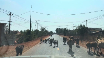 A Collection of Sites around Pleiku, Vietnam