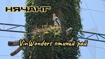 Птичий Рай на VinWonders, Вьетнам, Нячанг, Винперл.