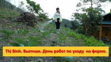 Thị B&igrave;nh. Вьетнам. День работ по уходу  на ферме.