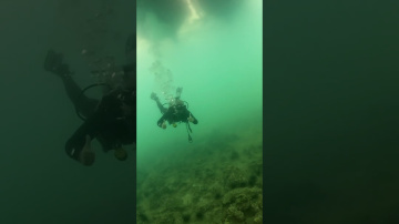 Дайвинг в Нячанге #scubadiving #underwater #travel