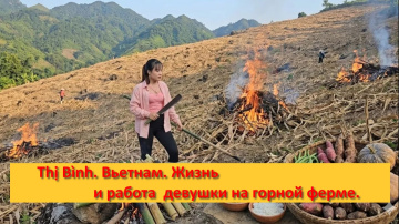 Thị B&igrave;nh. Вьетнам. Жизнь и работа  девушки на горной ферме.
