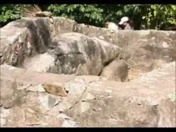 C&agrave; Mau cực nam Tổ quốc Video 03