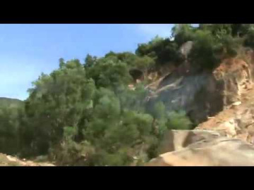 10.06.2019. Việt nam. Трансфер Нячанг-Камрань 3 (Джунгли и скалы)