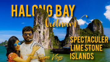 Exploring Hanoi City | Halong Bay | Vietnam Travel Guide | Indian Couple Vlog | TrueSome Vlogs
