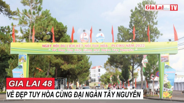 Gia Lai 48h: Vẻ đẹp Tuy H&ograve;a c&ugrave;ng đại ng&agrave;n T&acirc;y Nguy&ecirc;n #baogialai #bantintonghop
