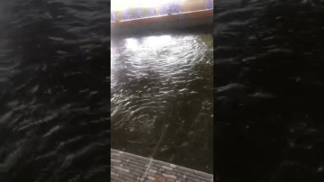 Shrimp Fishing with Rod in Vietnam #shorts #fishing #shortvideo #short #travel #vietnam #daily